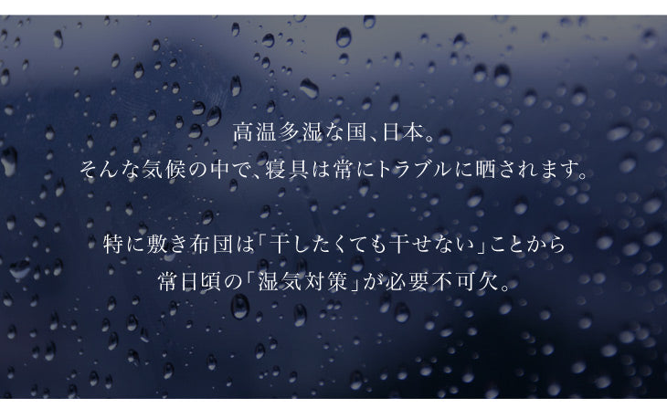 ［シングル］ロール式 すのこマット 国産 湿気対策 折りたたみ 木製 すのこベット 〔17610028〕