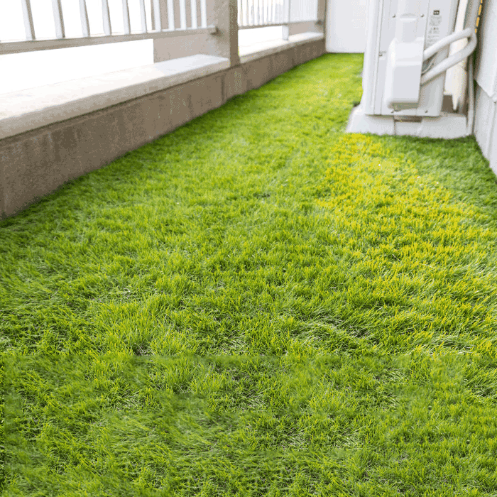 【アウトレット 旧仕様品】ベランダにお勧め! スリム 高密度リアル 人工芝 芝生 0.5m×10m 芝丈35mm 高密度 幅50cm ロール U字ピン12本 付き〔50900084out〕