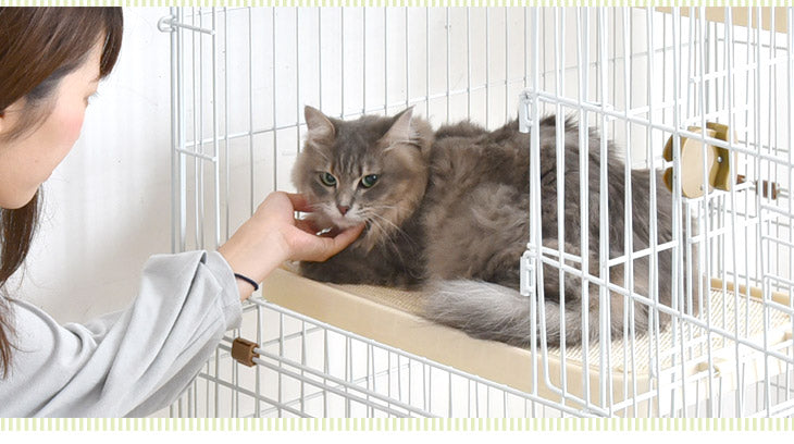 爪とぎ足場2個付き！ ハンモック付 2段 キャットケージ 水飲み皿 キャスター 多段 猫ケージ 猫 キャット ケージ 脱走防止 2匹 ペット 〔24610054〕