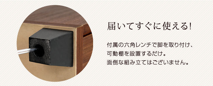 幅60cm シューズボックス 日本製 可動棚付き *ピタゴラス-TG*  完成品〔24900002〕