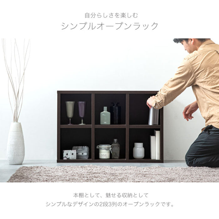 ［2×3段/背面化粧：あり］国産 オープンラック 完成品 間仕切り 収納〔33010143〕