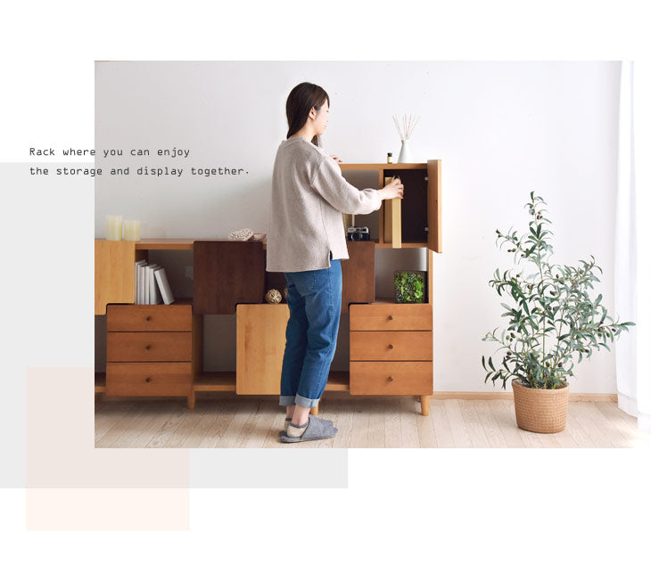 国産 完成品 キャビネット 木製 扉付 本棚 サイドボード 幅60 アルダー 大川家具 リビング 収納 飾り棚 日本製 【超大型商品】〔39600012〕
