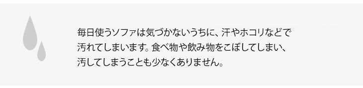 3人掛け ローソファ 日本製 こたつ用 全面カバー IMONIA〔44030056〕
