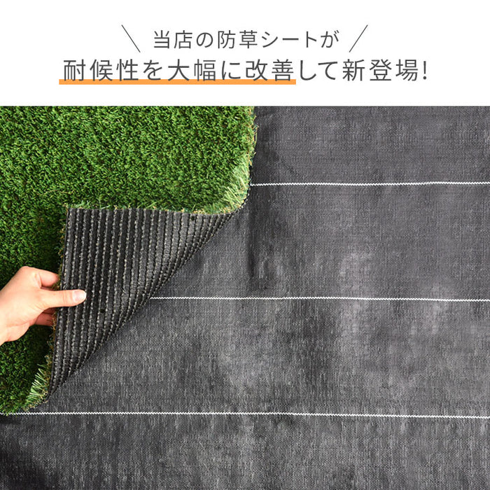 [1×50m] 防草シート  除草 草よけシート 耐候10年 高密度  〔50900079〕