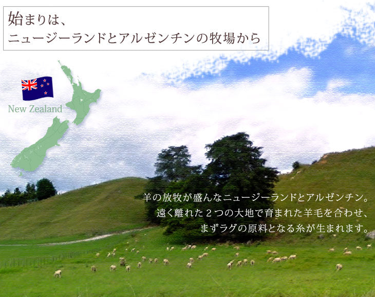 手織り ウールラグ ギャベ ラグ 200×250 厚手 ウール 100％ グラデーション 長方形 北欧 ラグマット カーペット ギャッベ インドギャベ 絨毯 じゅうたん おしゃれ〔87250020〕