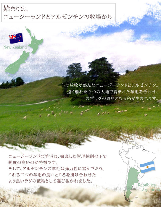 【45×75cm】 玄関マット 手織り ウールラグ  長方形 厚手 ウール100％〔87250023〕