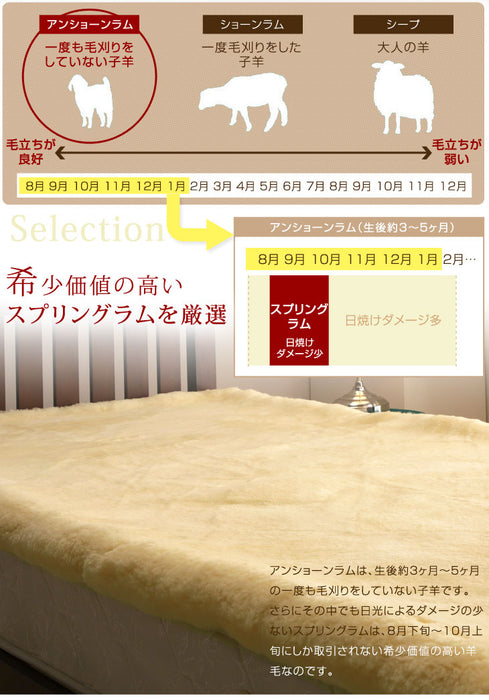 日本製 ムートンシーツ シングル  〔87250055〕
