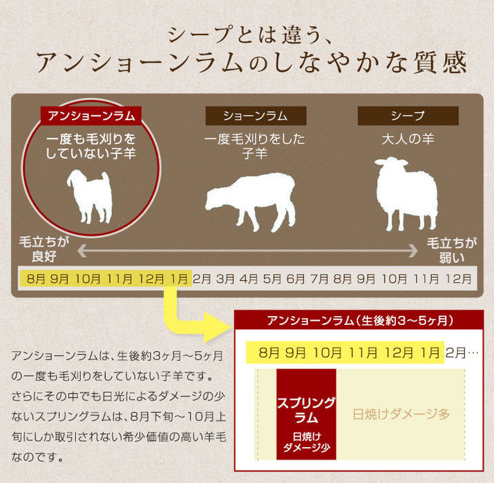 ムートンラグ 200×200 ムートン ラグ 短毛 ファー ムートンフリース 暖かい ウール 国産 ムートンシーツ クイーン 抗菌 防ダニ 消臭〔87250143〕