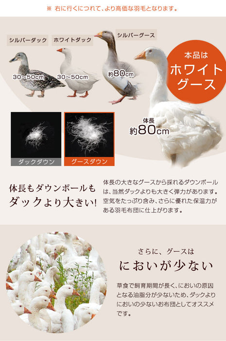 肌掛け布団  日本製 ダウンケット ポーランド産ホワイトマザーグースダウン 95% ダブル ロング CILプラチナラベル 消臭 抗菌 夏 夏用 布団【10年保証】〔10119326〕